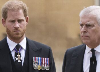 'Harry and Andrew should be removed from line of succession' - expert | Royal | News