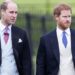 Harry and William’s ongoing fight revealed latest royal discussion