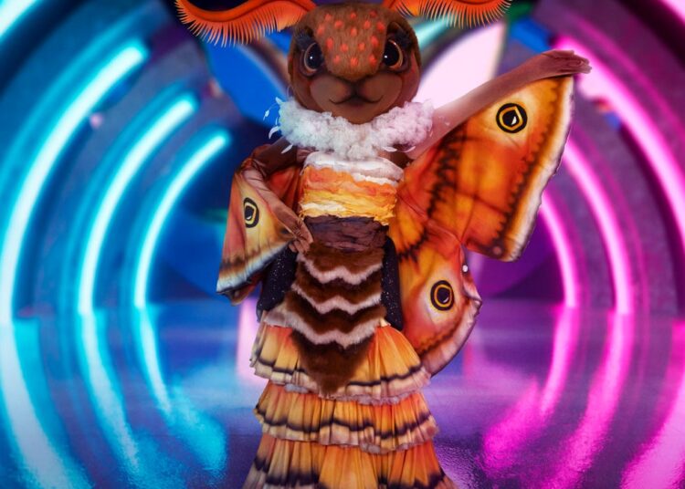moth, the masked singer