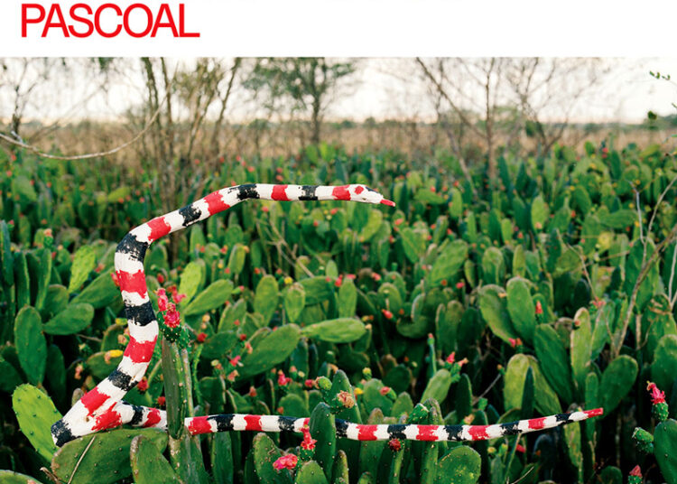 The cover for Obra Viva De Hermeto Pascoal: Volume 1 – Flautas presents a desert scene filled with green cactus pads and small red blossoms. A long striped serpent in red, black, and white coils across the plants. The album title appears at the top in red and olive lettering, while a small Rocinante logo sits in the upper right corner.