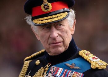Hollywood A-Listers Share Ancestral Ties to Royal Family — Source