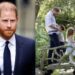 Inside Prince Harrys true feelings after missing royal event with Archie, Lilibet