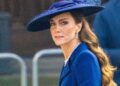 Kate Middleton's Brooch Steals the Show in New Royal Portrait