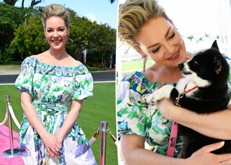 Katherine Heigl hits back at fans politicizing her attendance at Mar-a-lago rescue event