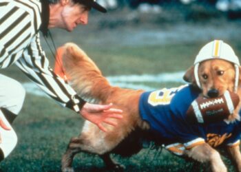 Kevin DiCicco, Creator of ‘Air Bud’ Franchise, Dies at 63