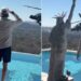 Kid Rock and helicopter