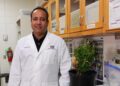 LSU AgCenter team can help when plants get sick | Entertainment/Life