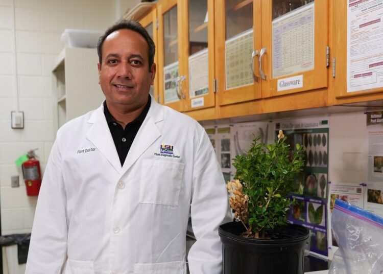 LSU AgCenter team can help when plants get sick | Entertainment/Life