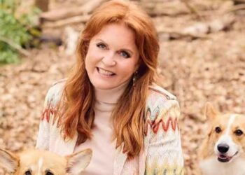 Latest Sarah Ferguson claims prove one thing - it's absolutely revolting | Royal | News