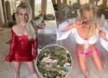List of 911 calls to Britney Spears' SoCal mansion