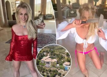 List of 911 calls to Britney Spears' SoCal mansion