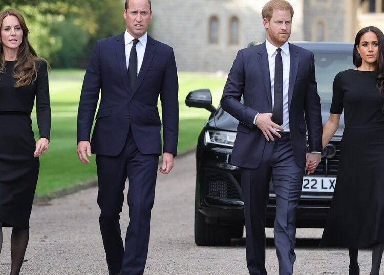 Meghan Markle Trying To Copy This Royal ‘Sickens’ Prince William — Source