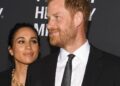 Netflix, Spotify and Royals all fall out with Harry and Meghan | Celebrity News | Showbiz & TV