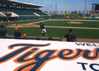 Owners of Tigers, Red Wings create Detroit SportsNet to broadcast games | Entertainment