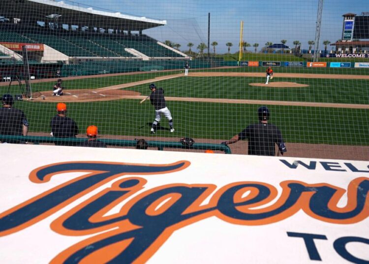 Owners of Tigers, Red Wings create Detroit SportsNet to broadcast games | Entertainment