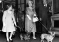 Palace Fury Over Fergie’s Cynical Claim Queen Communicated With Her Through Her Corgis