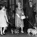 Palace Fury Over Fergie’s Cynical Claim Queen Communicated With Her Through Her Corgis