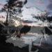 Stereogum home