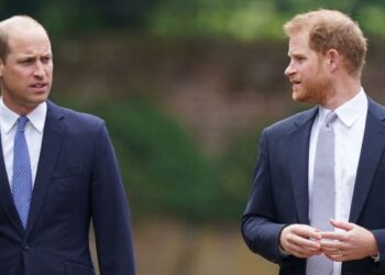 Prince Harry Fears William Could Strip Archie and Lilibet of Their Royal Titles