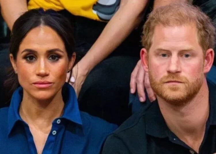 Prince Harry, Meghan Markle can no longer be ‘DIY Royals’