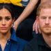 Prince Harry, Meghan Markle can no longer be ‘DIY Royals’