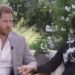 Prince Harry, Meghan Markle lash out on deranged conspiracy in new royal book