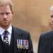 Prince Harry Must Face the Same Royal Fate as Ex-Prince Andrew — Expert