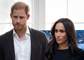 Harry and Meghan have long been passionate about online safety for children