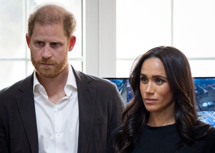 Harry and Meghan have long been passionate about online safety for children