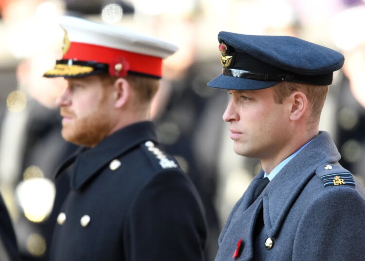 Prince Harry and William’s Rift Driven by Feud Over Military—Book