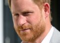 Prince Harry, Duke of Sussex