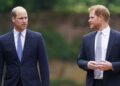 Prince Harry 'stopped cold' after Prince William used 3-word code | Royal | News