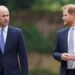 Prince Harry 'stopped cold' after Prince William used 3-word code | Royal | News