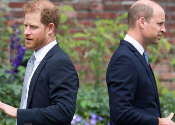 Prince William and Prince Harry’s Feud Remains Unchanged