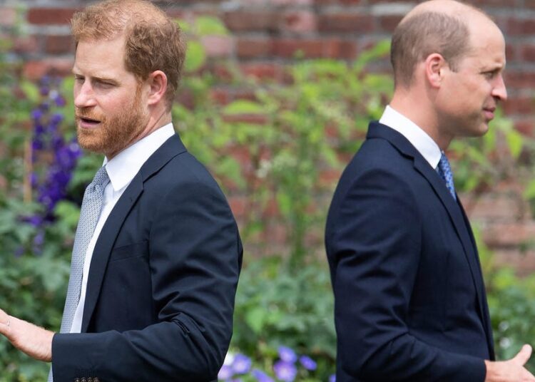 Prince William and Prince Harry’s Feud Remains Unchanged