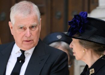 Princess Anne 'revokes' offer to help Andrew Mountbatten-Windsor | Royal | News