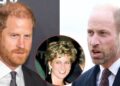 Princess Diana was preparing the way for Prince Harry to become King amid doubts over his 'shy' older brother, Prince William.MEGA