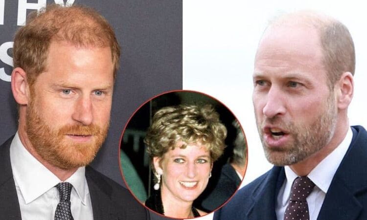 Princess Diana was preparing the way for Prince Harry to become King amid doubts over his 'shy' older brother, Prince William.MEGA