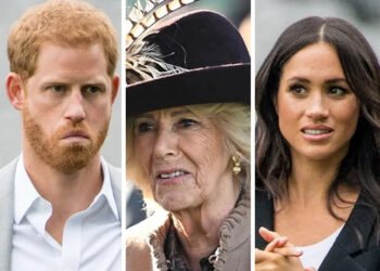 Prince Harry and Meghan Markle with Queen Camilla