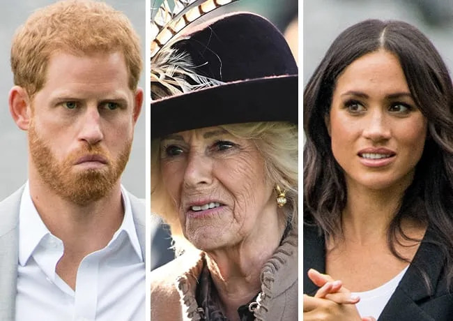 Prince Harry and Meghan Markle with Queen Camilla