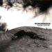 Stereogum home