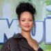 Rihanna House Shooting Suspect ID'd, Held on $10 Million Bail