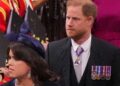 Royal Family LIVE: 'Andrew and these 9 royals should be removed from line of succession' | Royal | News