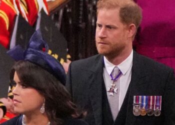 Royal Family LIVE: 'Andrew and these 9 royals should be removed from line of succession' | Royal | News