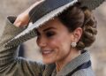 Royal Family fans all say the same thing as Kate pictured in stunning hat | Royal | News