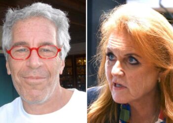Royal expert slams Sarah Ferguson’s ‘revolting’ 11-word message to Epstein in newly surfaced email