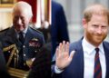Royal family shares update as Prince Harry unveils UK plan