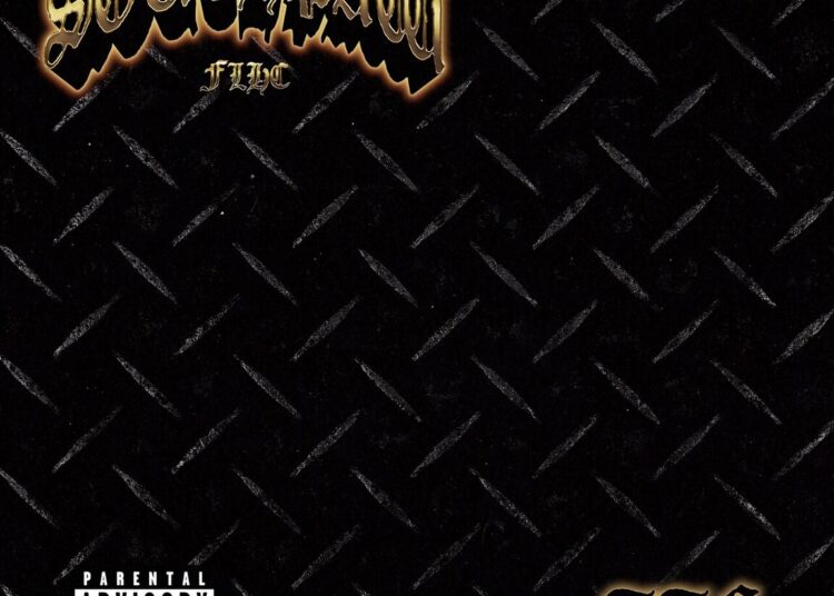 SOUTHPAW FLHC “TTG” single artwork