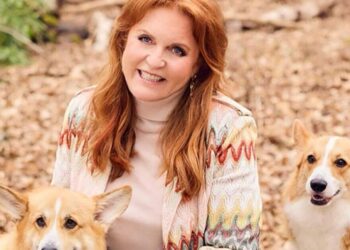 Sarah Ferguson 'in talks to clone Queen's corgis for TV' - ‘up for anything for cash' | Royal | News