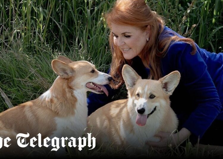 Sarah Ferguson ‘discussed cloning Queen’s corgis for reality TV’